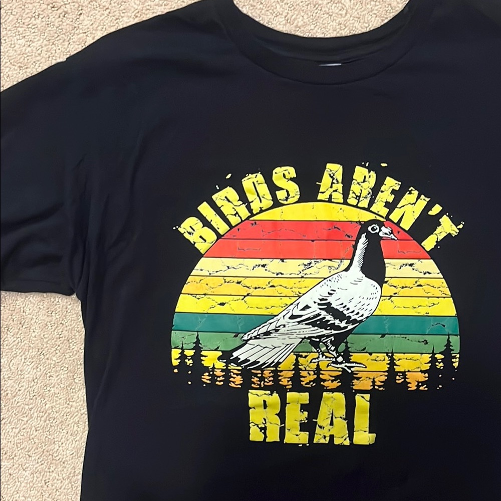 Birds Aren't Real Black T-Shirt